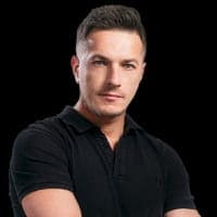 alexandru nichita
