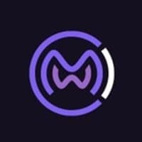 World Metaverse Council World Metaverse Council