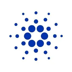 cardano foundation cardano foundation